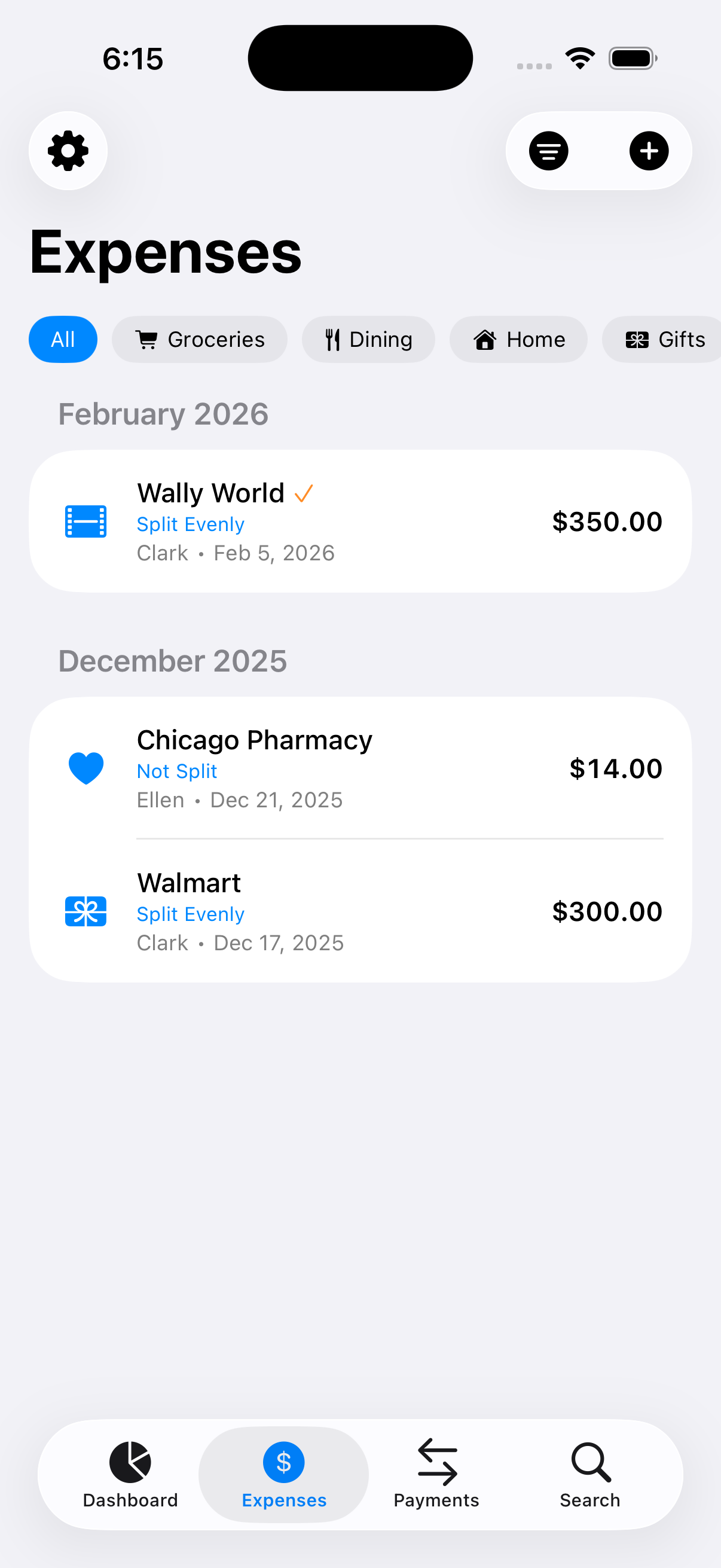 Expense list with category filters